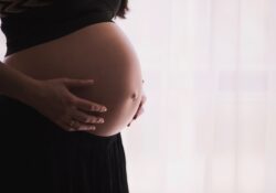 práva těhotných zaměstnankyň